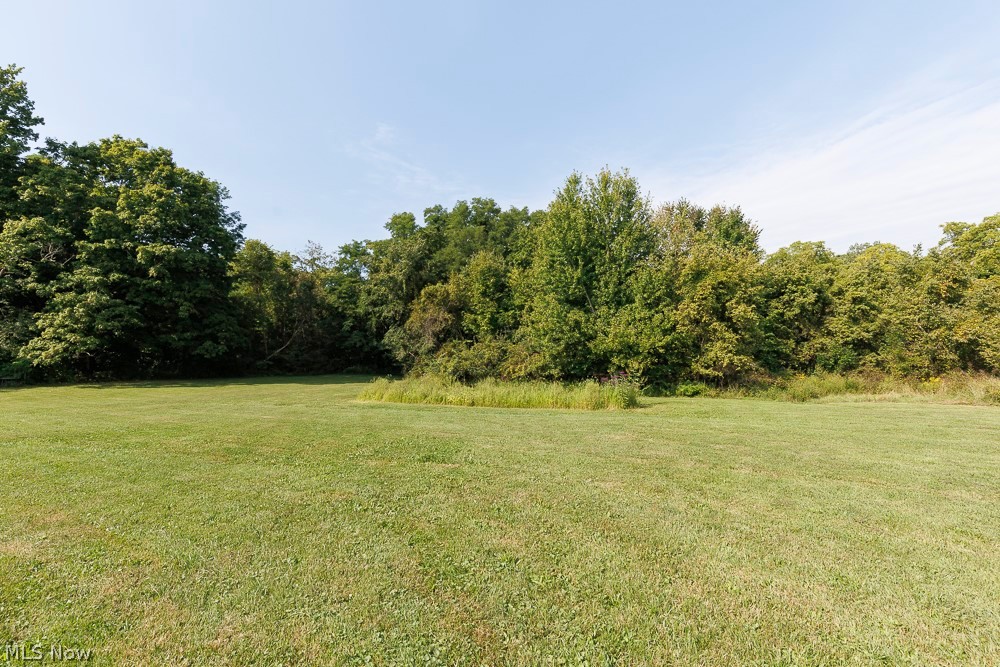 5366 Zenobia Road Wakeman, OH 44889 - Photo 21 of 25 Expansive green lawn surrounded by mature trees