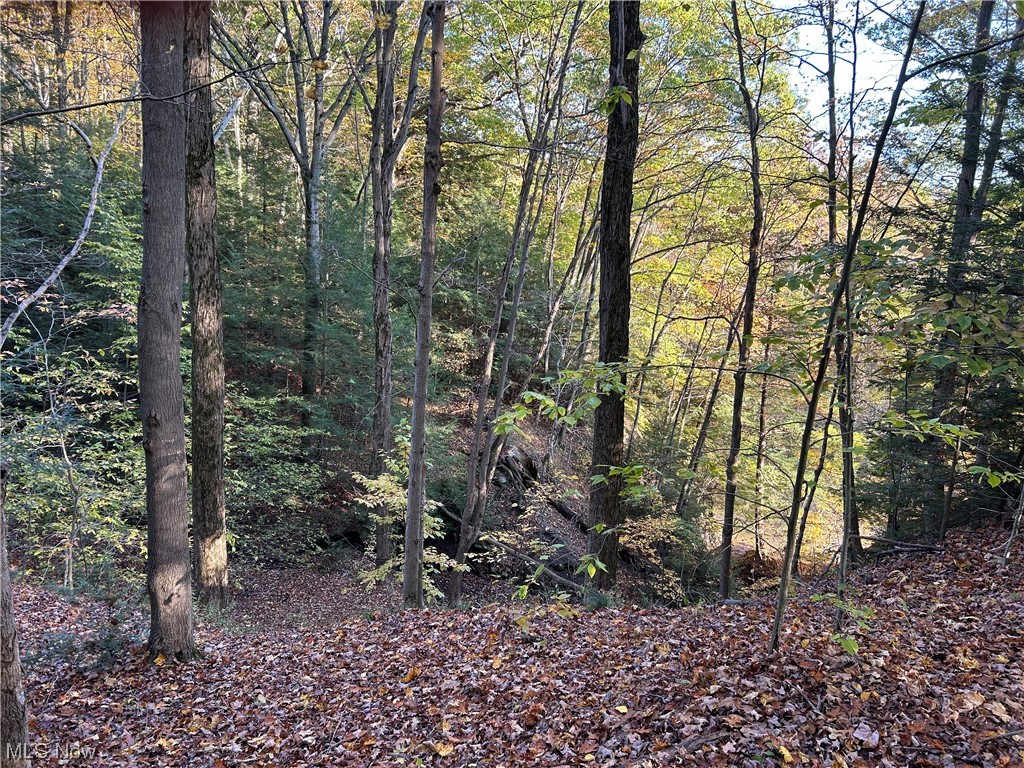 Vl South Ridge Road Conneaut, OH 44030 - Photo 29 of 35 View of local wilderness