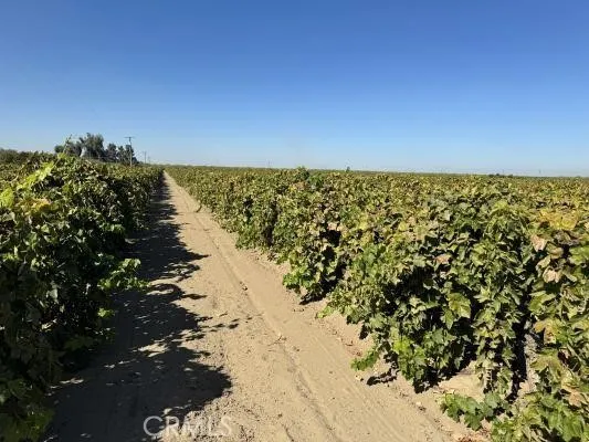 a view of beach and ocean