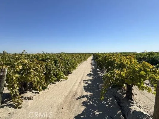 a view of a lake with a city