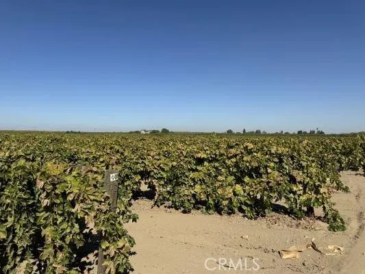 a view of a large mountain with snow in the background
