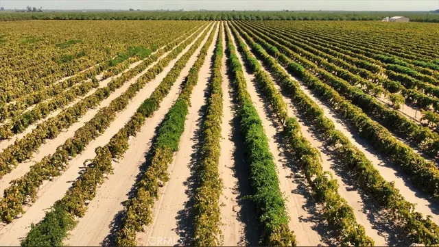 a view of wooden floor