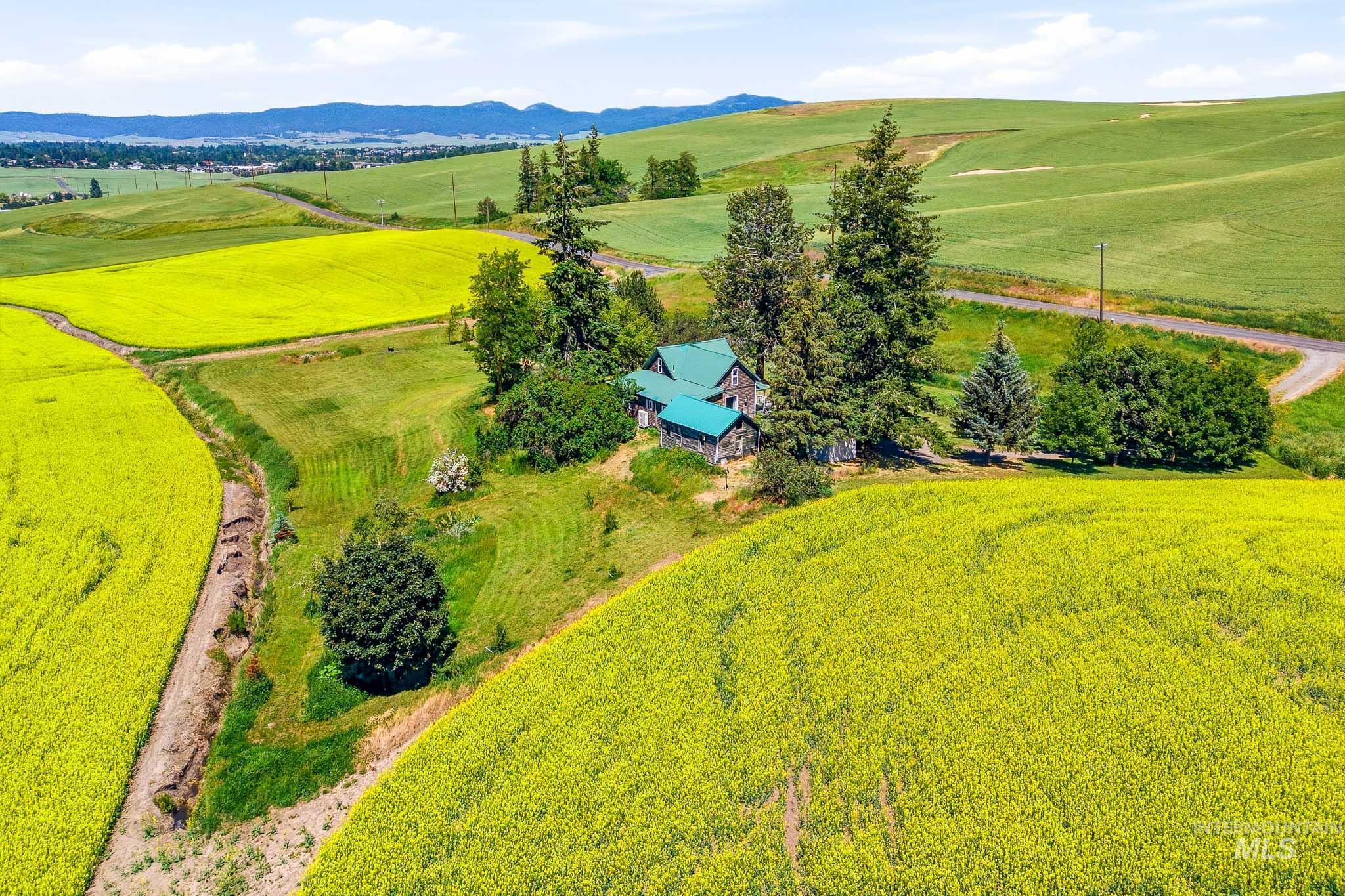 1185 Paradise Ridge Road Moscow, ID 83843 - Photo 31 of 38