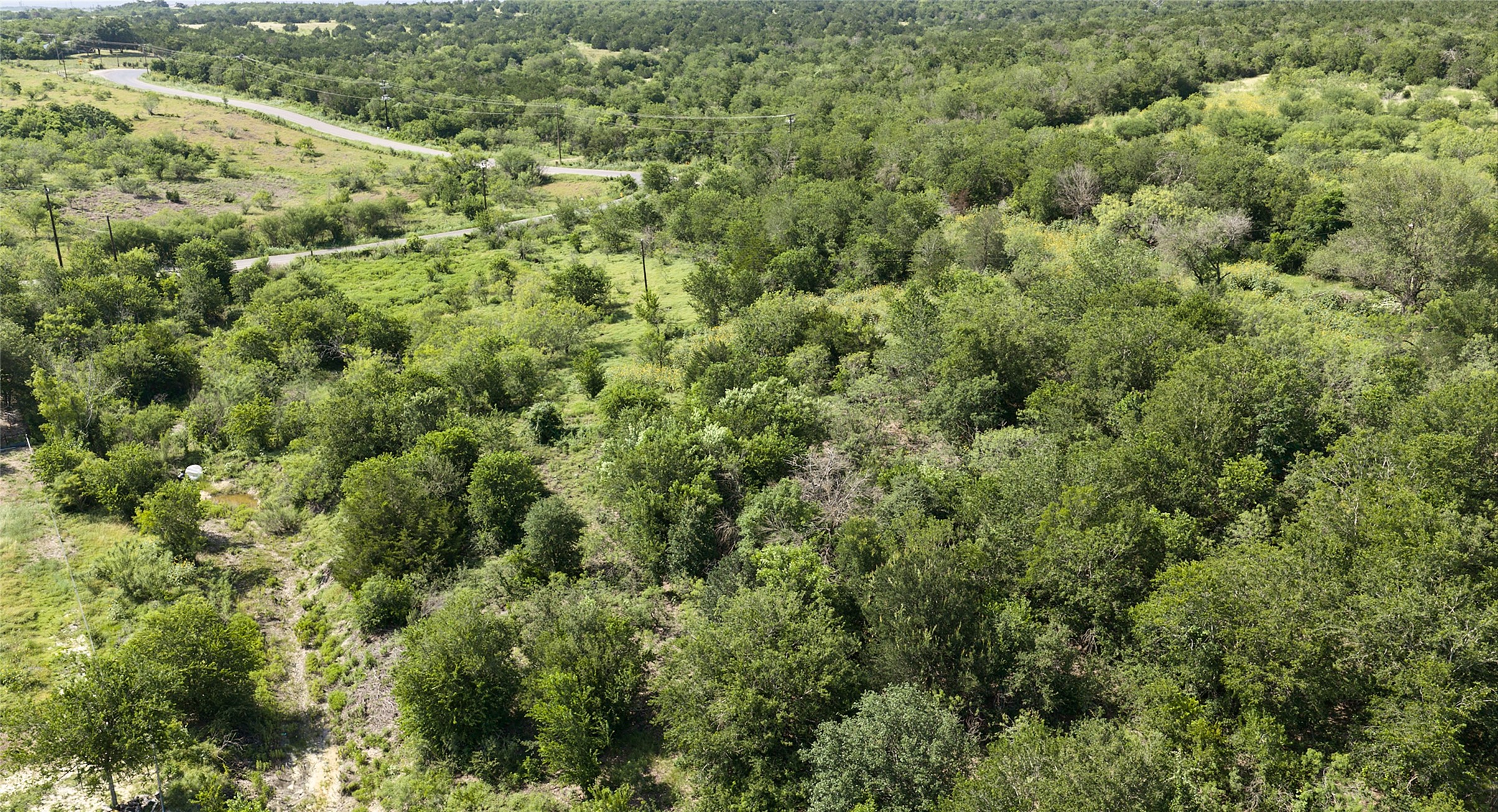 1400 Williamson Road Kyle, TX 78640 - Photo 13 of 13 A verdant panorama unfolds, offering a secluded building site amidst mature foliage.