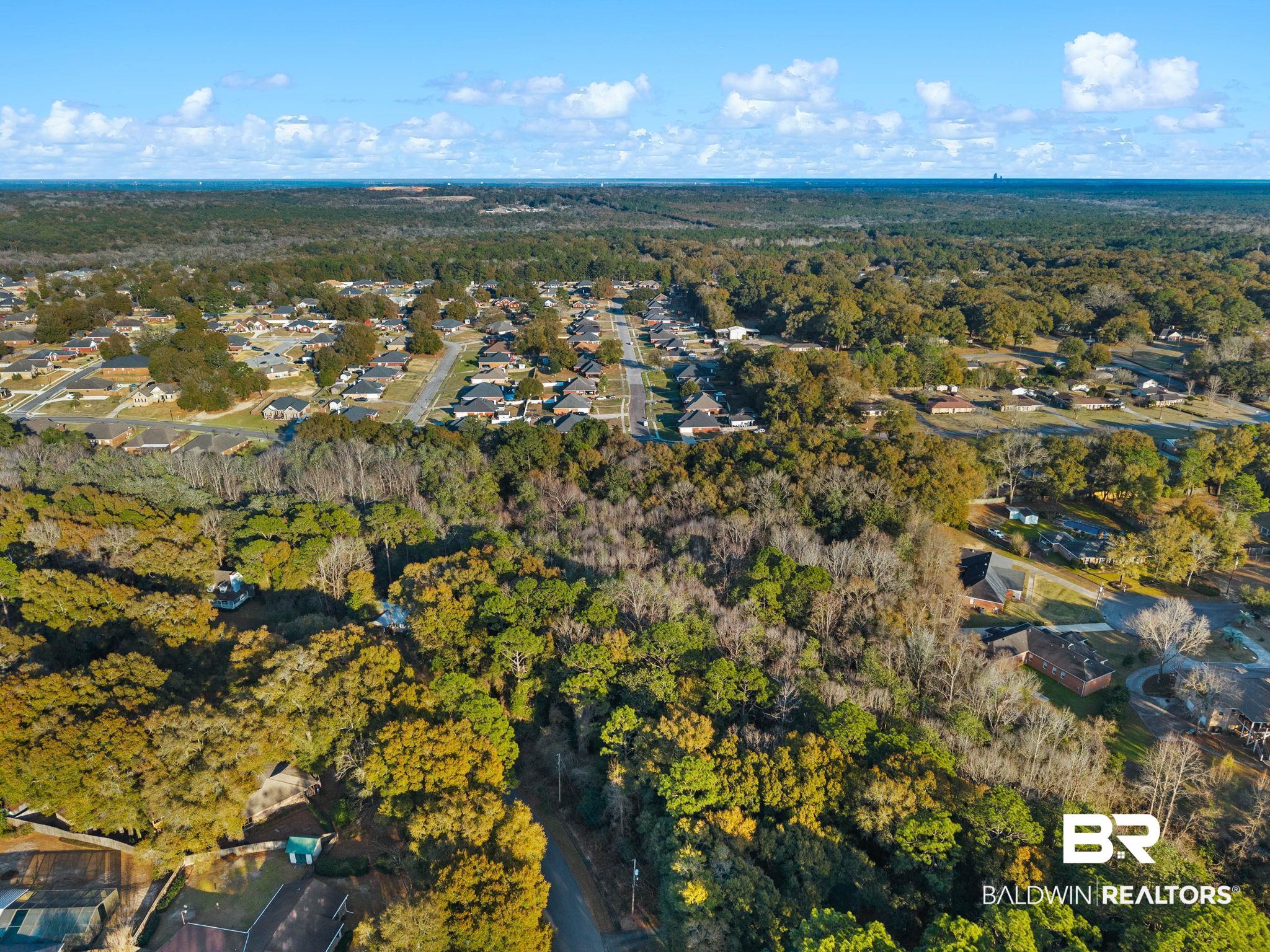 0 Meadow Lane Mobile, AL 36618 - Photo 6 of 8