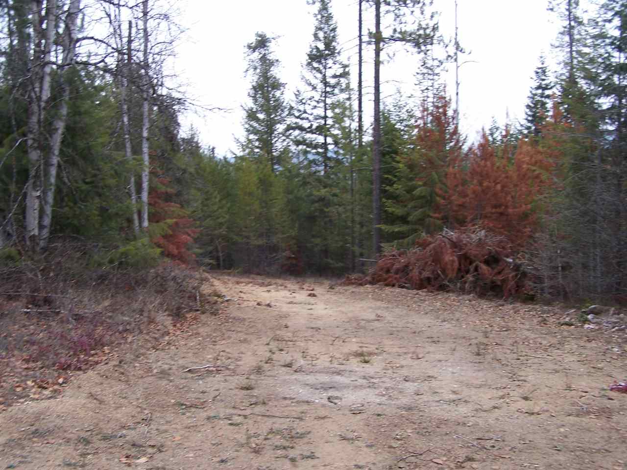 Lot 9 Greenhouse Road Ione, WA 99139 - Photo 3 of 9