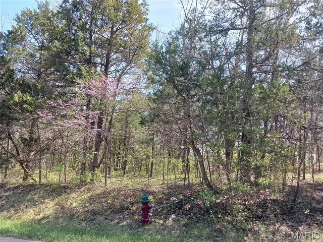 $5,000 | 0 South Lafitte Drive, Bonne Terre, MO 63628