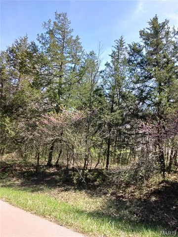 $5,000 | 0 South Lafitte Drive, Bonne Terre, MO 63628