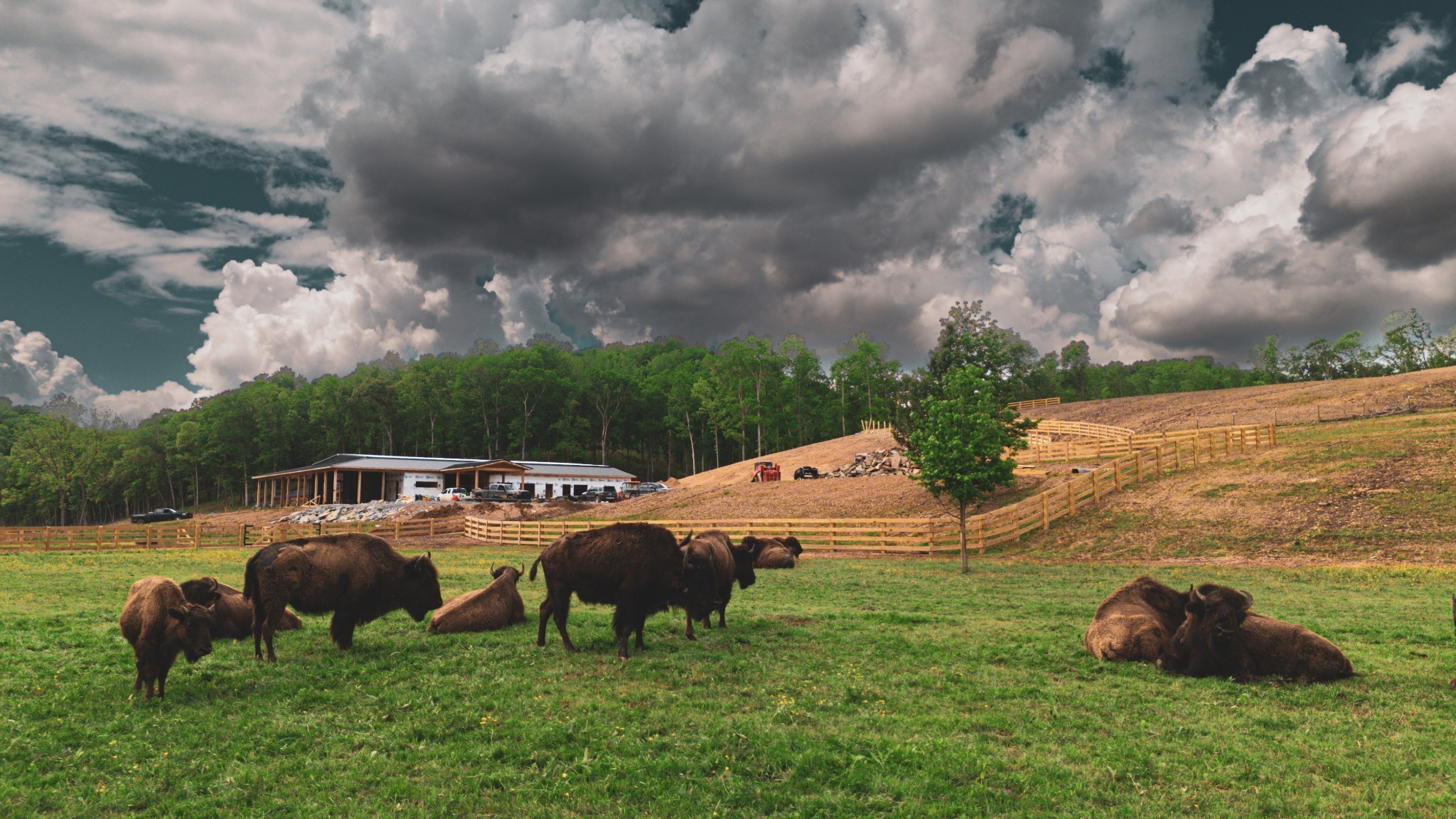 0 Fallow Hill Road Joelton, TN 37080 - Photo 17 of 22