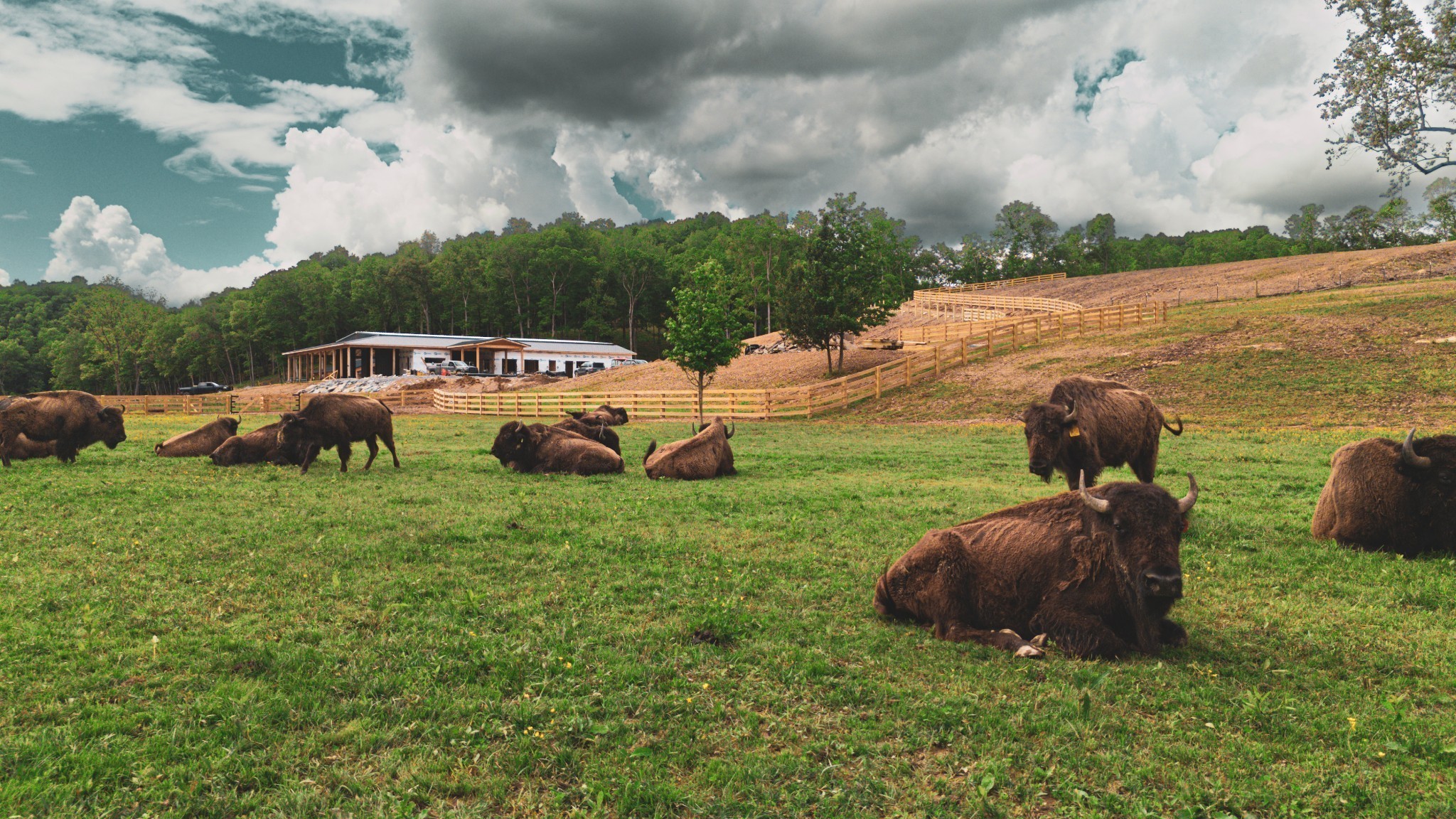 0 Fallow Hill Road Joelton, TN 37080 - Photo 19 of 22