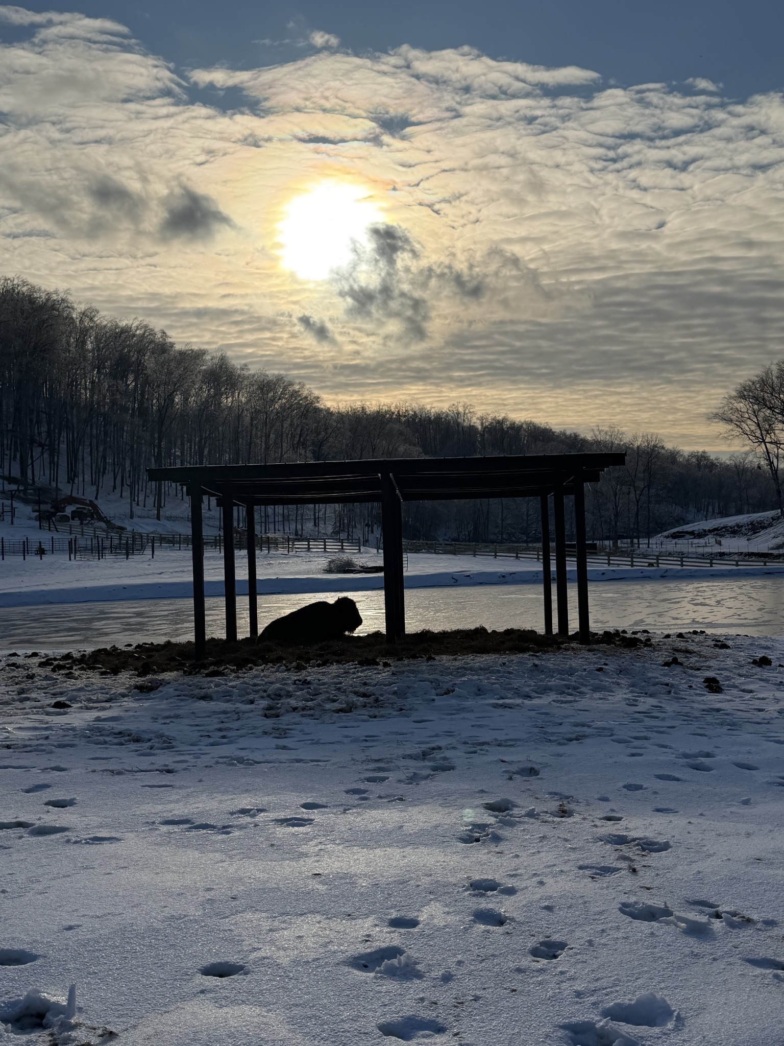 0 Fallow Hill Road Joelton, TN 37080 - Photo 5 of 22