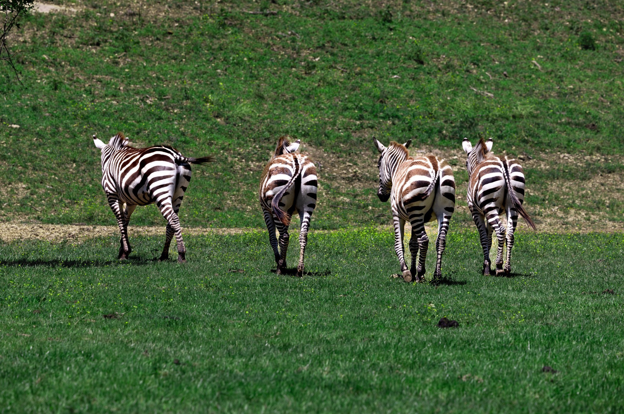 0 Fallow Hill Road Joelton, TN 37080 - Photo 10 of 22