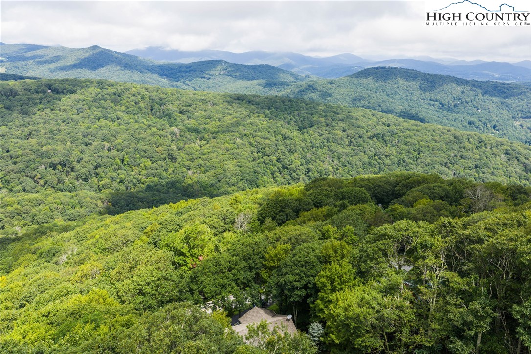 2587 Junaluska Road Boone, NC 28607 - Photo 44 of 47 a view of a lush green field with lots of bushes