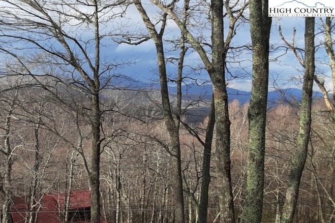 2587 Junaluska Road Boone, NC 28607 - Photo 45 of 47 a view of a forest with lots of trees