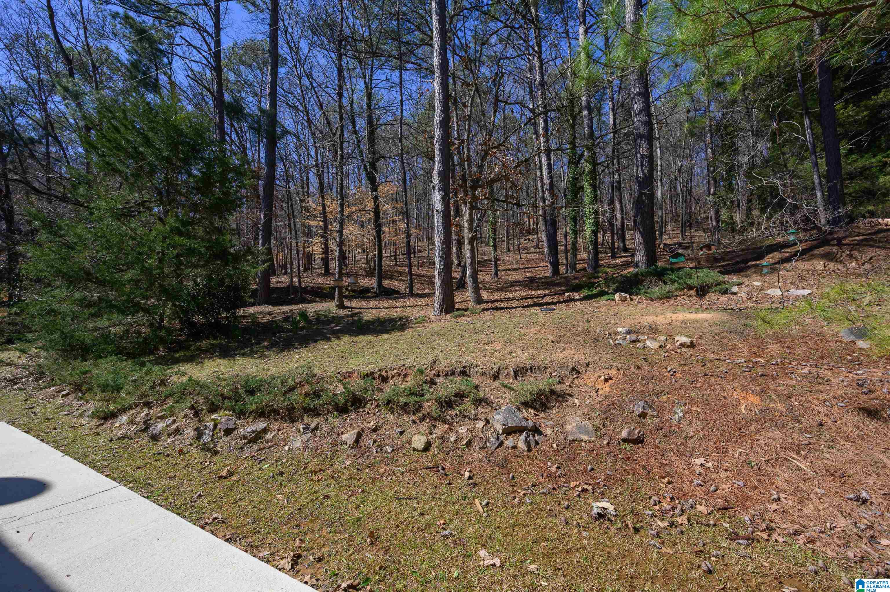 1935 Arabian Road Columbiana, AL 35051 - Photo 48 of 80