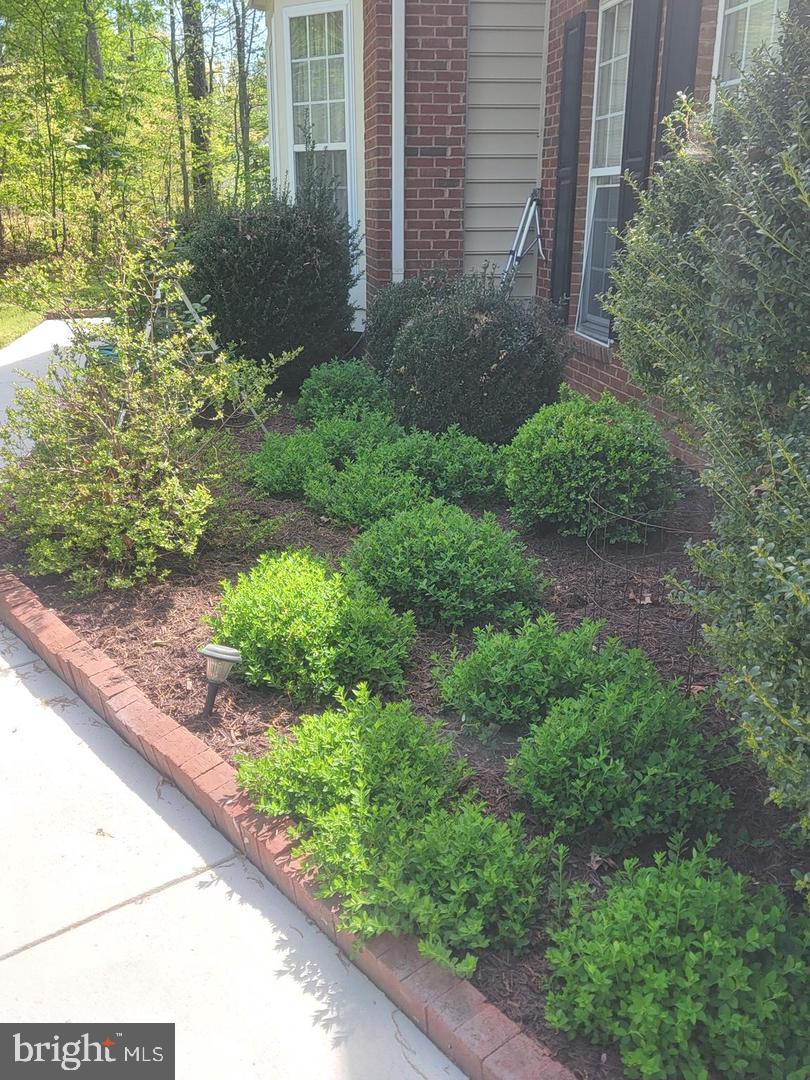440 Reedy Creek Road Louisa, VA 23093 - Photo 20 of 24 Gallery Image 20