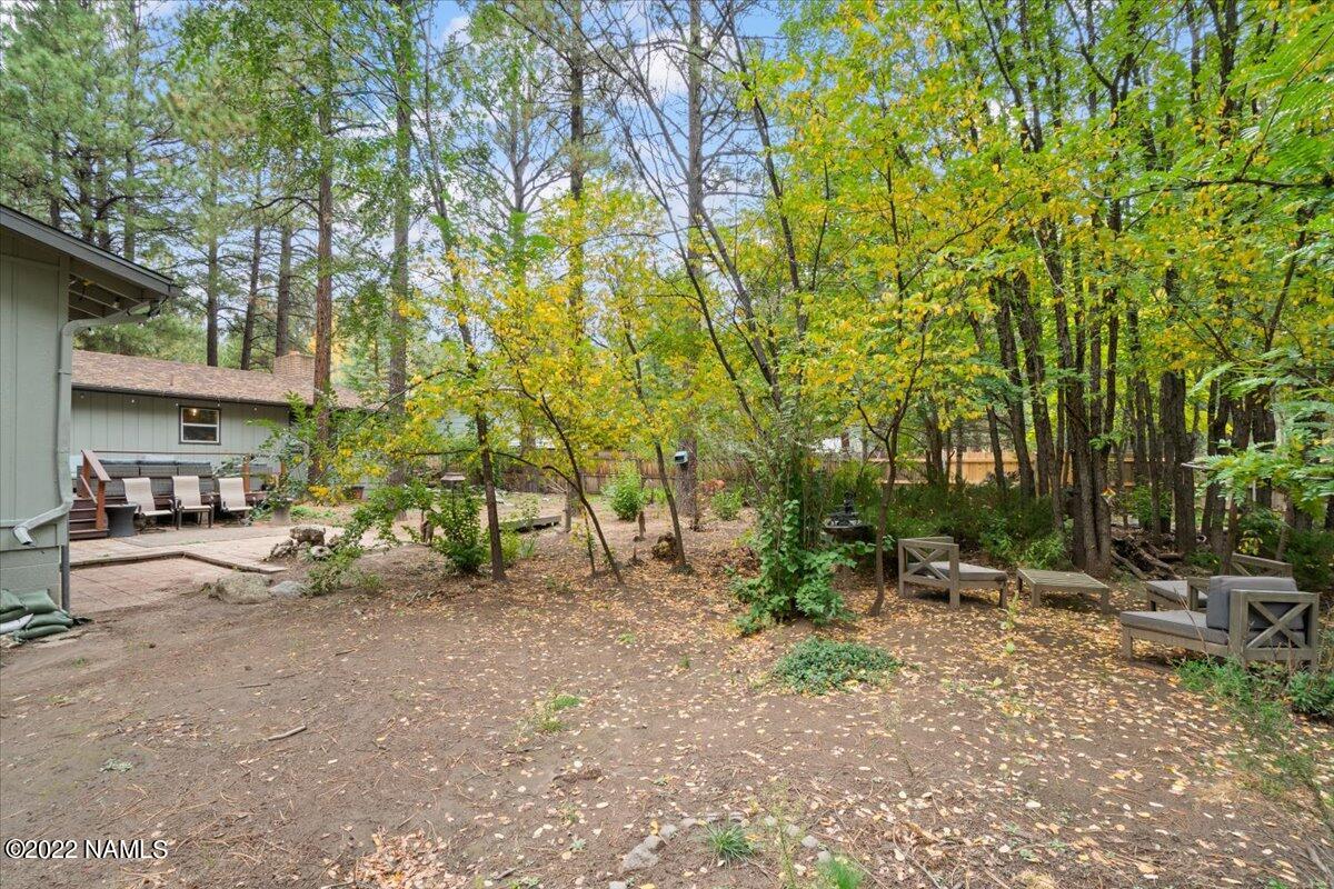3920 North Paradise Road Flagstaff, AZ 86004 - Photo 55 of 69 64-Backyard