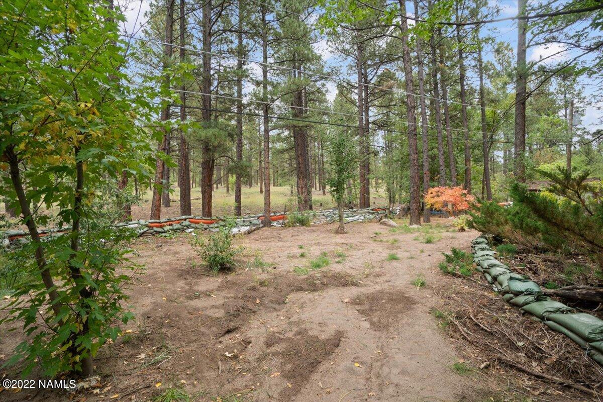 3920 North Paradise Road Flagstaff, AZ 86004 - Photo 60 of 69 69-Backyard