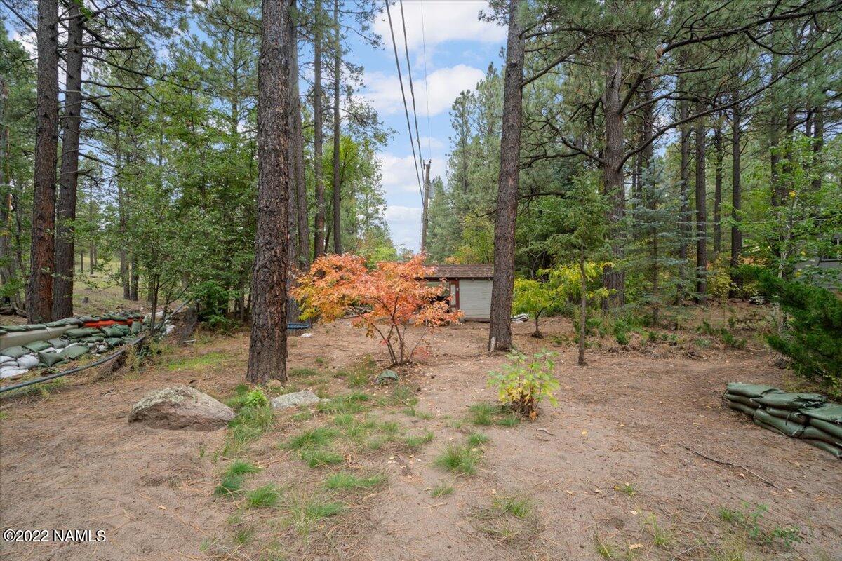 3920 North Paradise Road Flagstaff, AZ 86004 - Photo 61 of 69 70-Backyard
