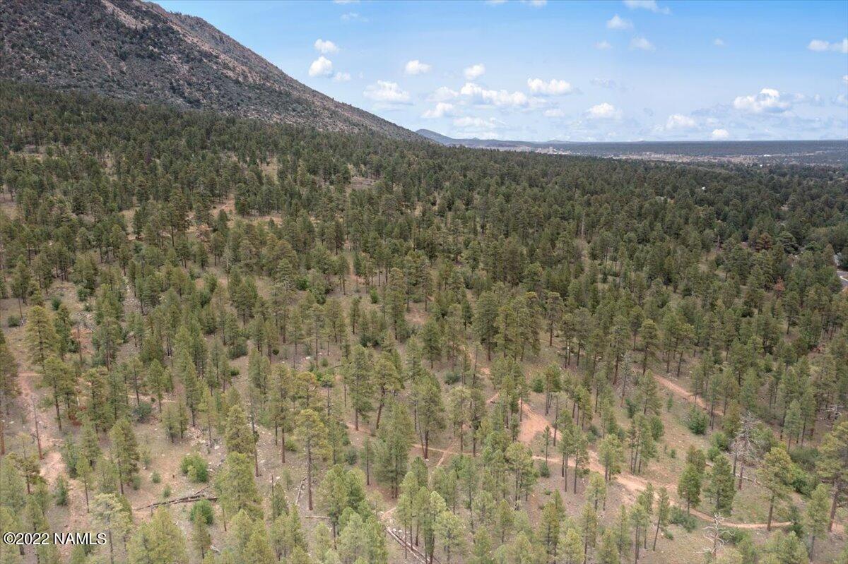 3920 North Paradise Road Flagstaff, AZ 86004 - Photo 63 of 69 06-Aerial View