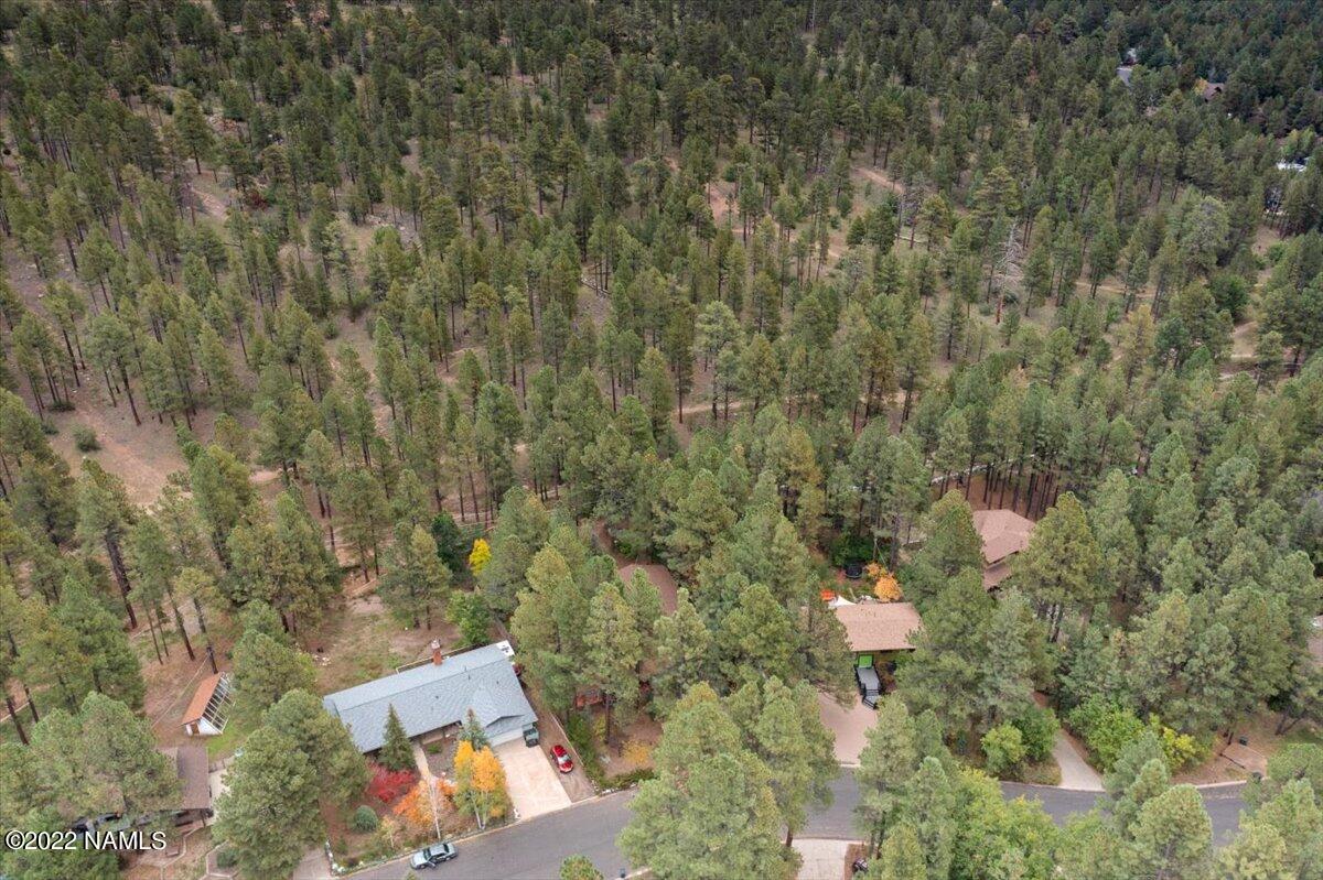 3920 North Paradise Road Flagstaff, AZ 86004 - Photo 64 of 69 07-Aerial View