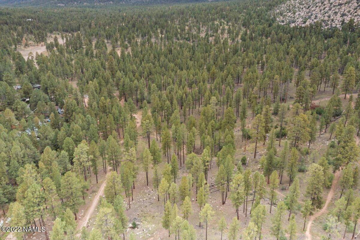 3920 North Paradise Road Flagstaff, AZ 86004 - Photo 66 of 69 10-Aerial View