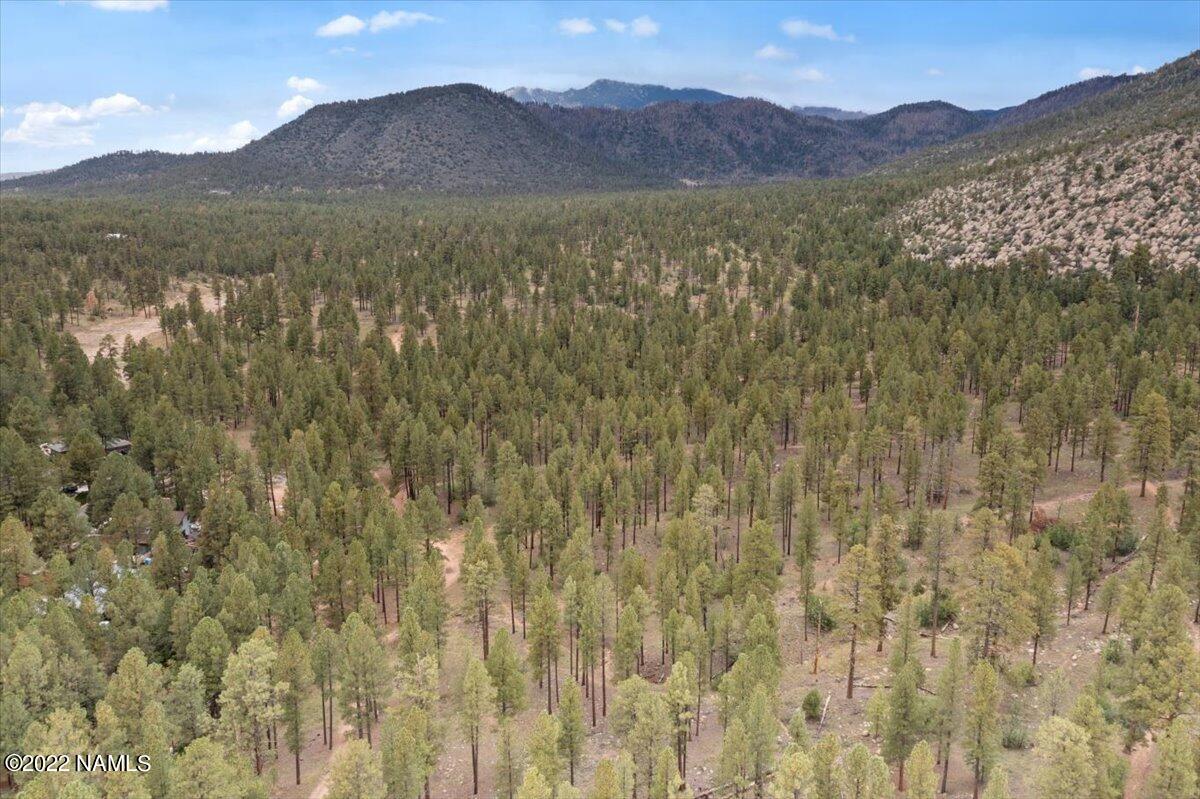 3920 North Paradise Road Flagstaff, AZ 86004 - Photo 67 of 69 11-Aerial View