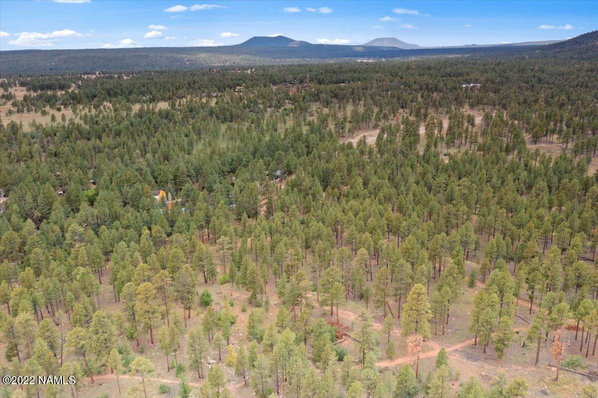 3920 North Paradise Road Flagstaff, AZ 86004 - Photo 68 of 69 12-Aerial View