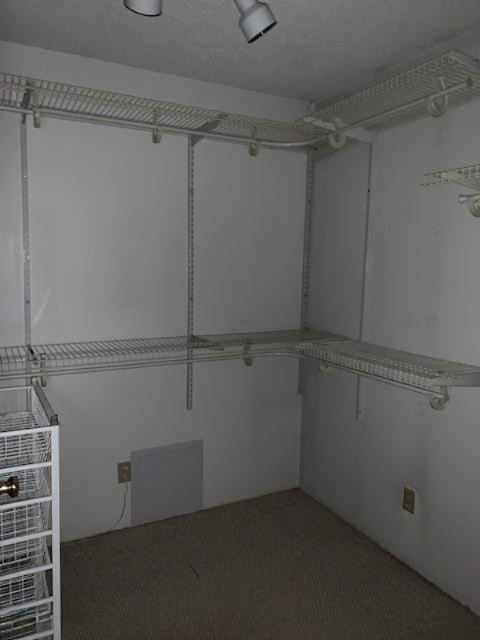 6428 Lammers Road Hastings, MI 49058 - Photo 24 of 33 IMG_6586