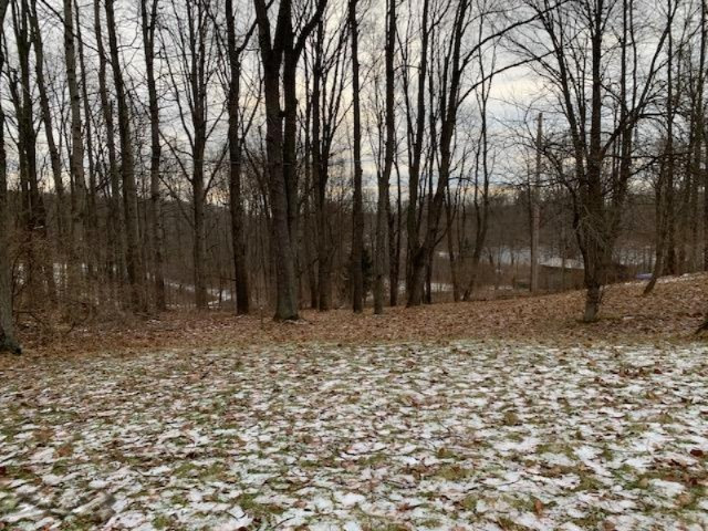 6428 Lammers Road Hastings, MI 49058 - Photo 5 of 33 IMG_6592