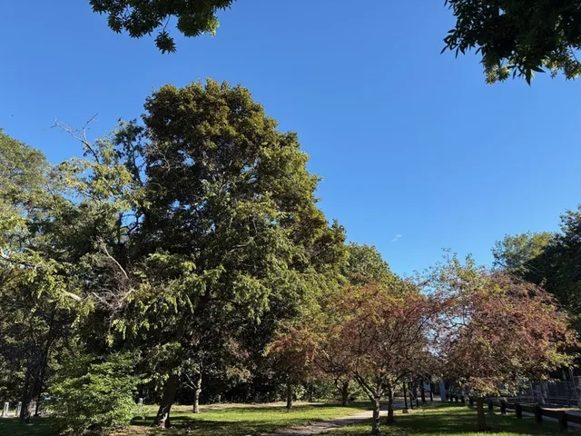 $2,750 | 22 Branchfield Street, Unit 41, Boston, MA 02124