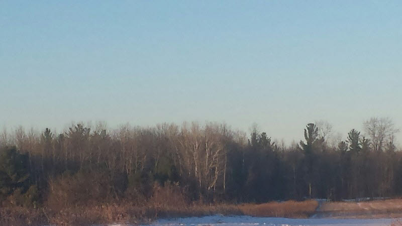 0 Townline Road Sterling, MI 48659 - Photo 1 of 1