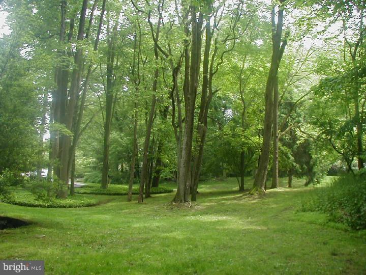 871 Deer Crossing Road West Chester, PA 19382 - Photo 15 of 16 Front Yard