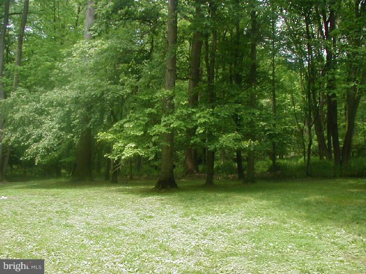 871 Deer Crossing Road West Chester, PA 19382 - Photo 16 of 16 Back Yard