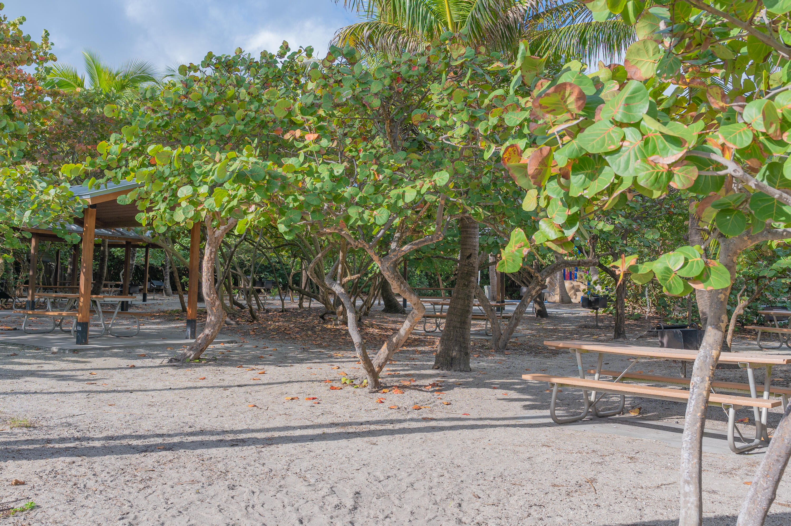 951 De Soto Road, Unit 427 Boca Raton, FL 33432 - Photo 37 of 44 a backyard of a house with lots of green space