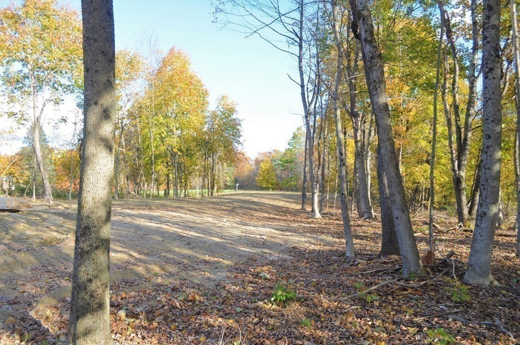 182 Davis Road Westminster, MA 01473 - Photo 42 of 42 a view of a yard with trees