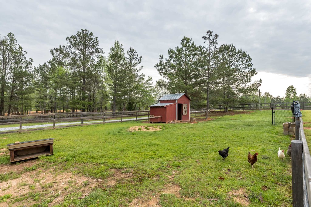 2672 McKee Road Upatoi, GA 31829 - Photo 44 of 49 Gallery Image 44