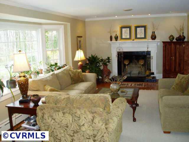 Other - Beautiful large living room w/ crown moulding, fireplace and wonderful bay window
