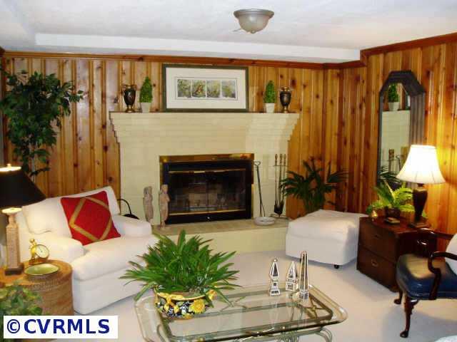 Other - Newly rennovated recreation room with berber carpet, panelling, raised fireplace and bar