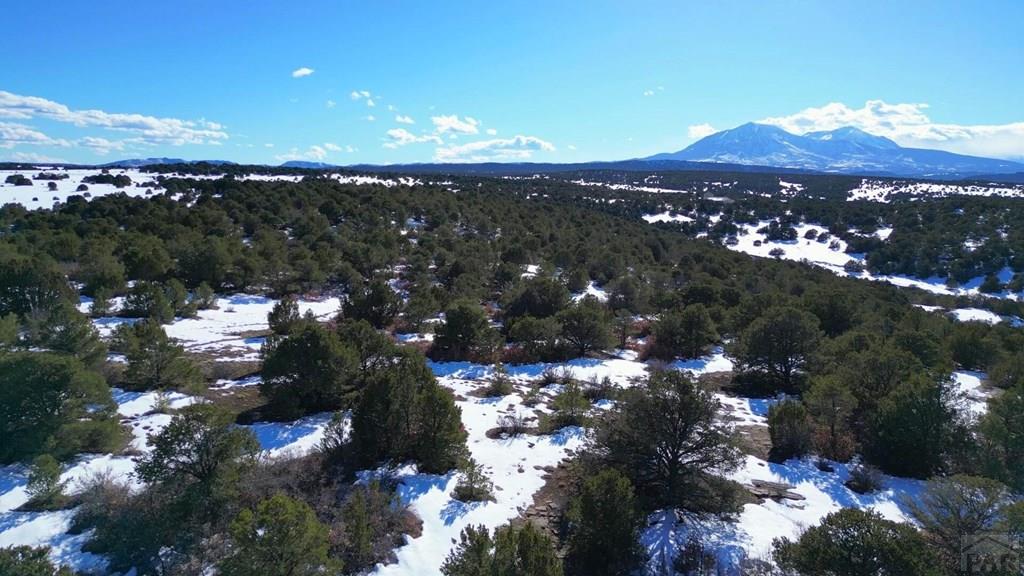 Lot 75 Silver Spur Road Walsenburg, CO 81089 - Photo 10 of 11 Gallery Image 10