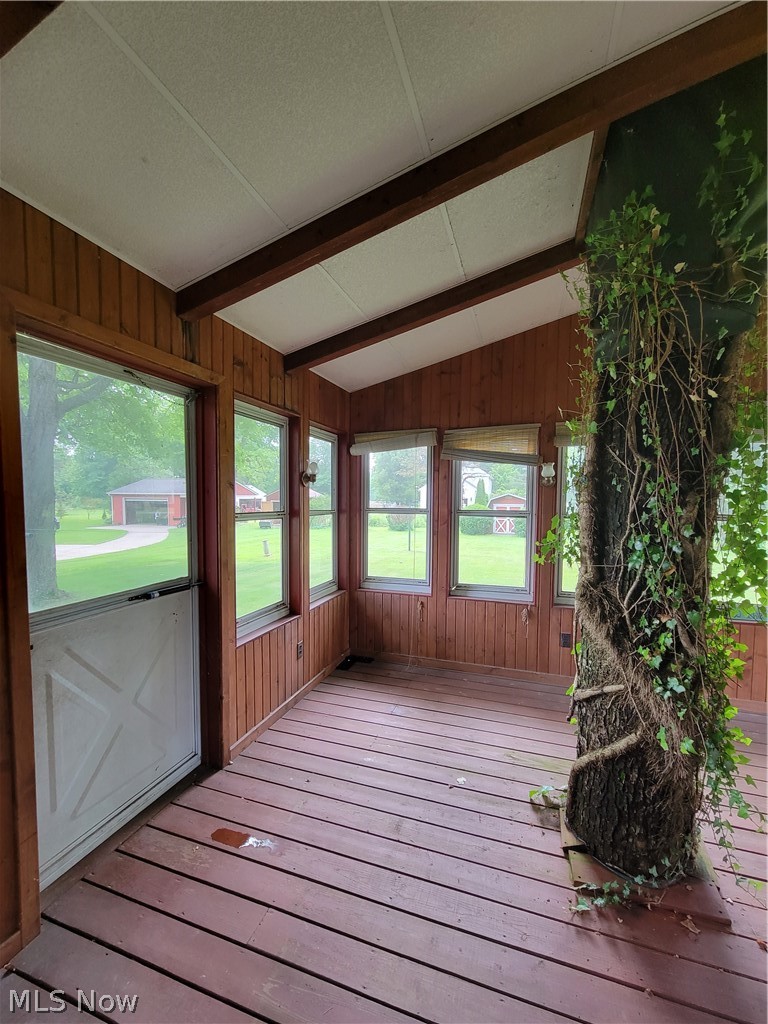 6304 Murray Ridge Road Elyria, OH 44035 - Photo 12 of 34 Live Tree in the enclosed Patio/Sun room
