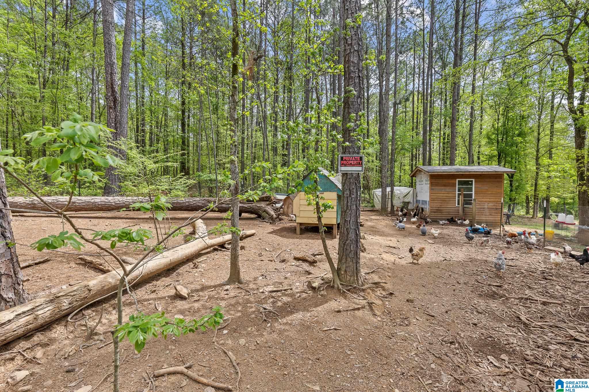 10936 Bear Creek Road Sterrett, AL 35147 - Photo 51 of 58