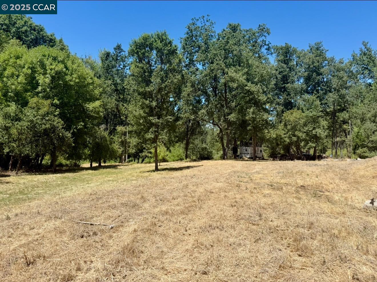 4578 Pretty Good Road Placerville, CA 95667 - Photo 12 of 25 a view of empty room with tree