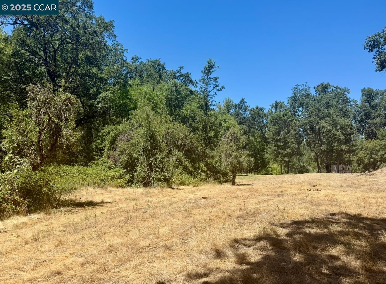 4578 Pretty Good Road Placerville, CA 95667 - Photo 13 of 25 a view of a yard covered with snow in front of house