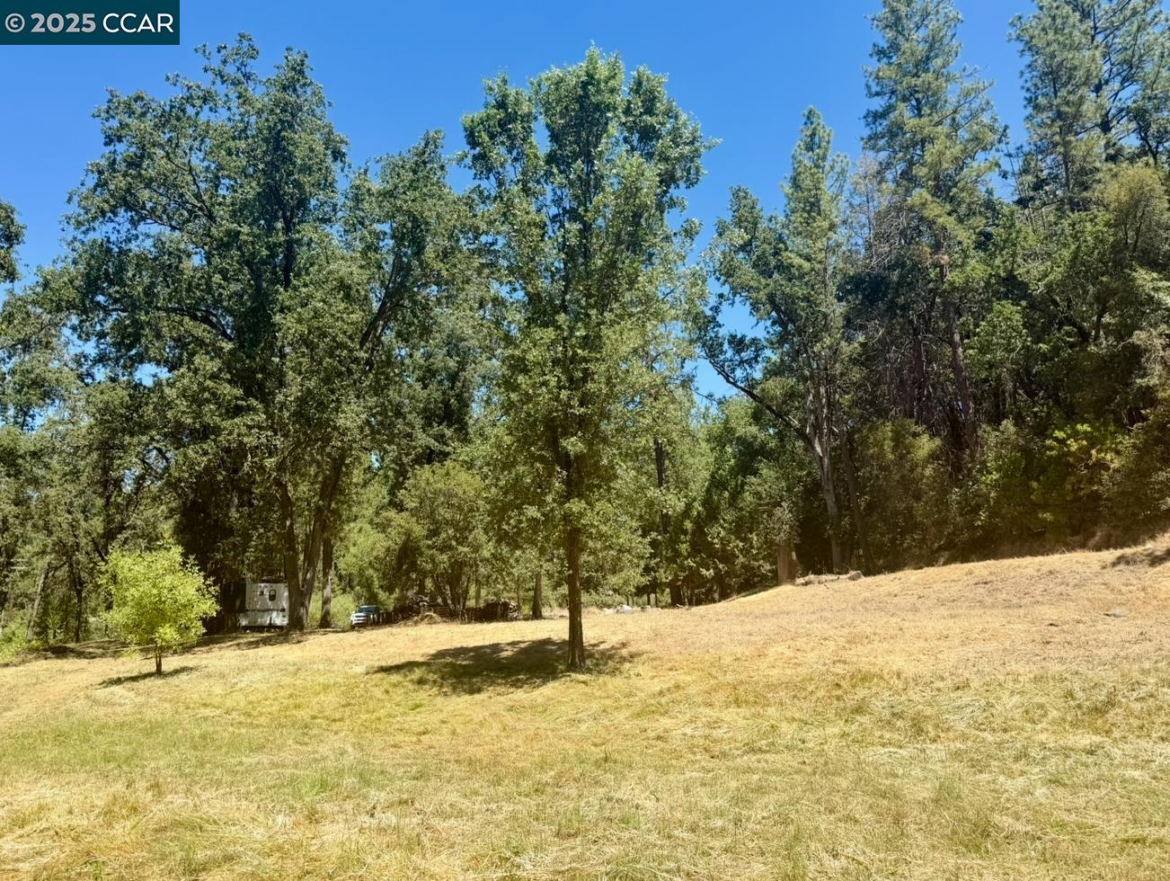 4578 Pretty Good Road Placerville, CA 95667 - Photo 15 of 25 a view of a yard covered with snow in front of house