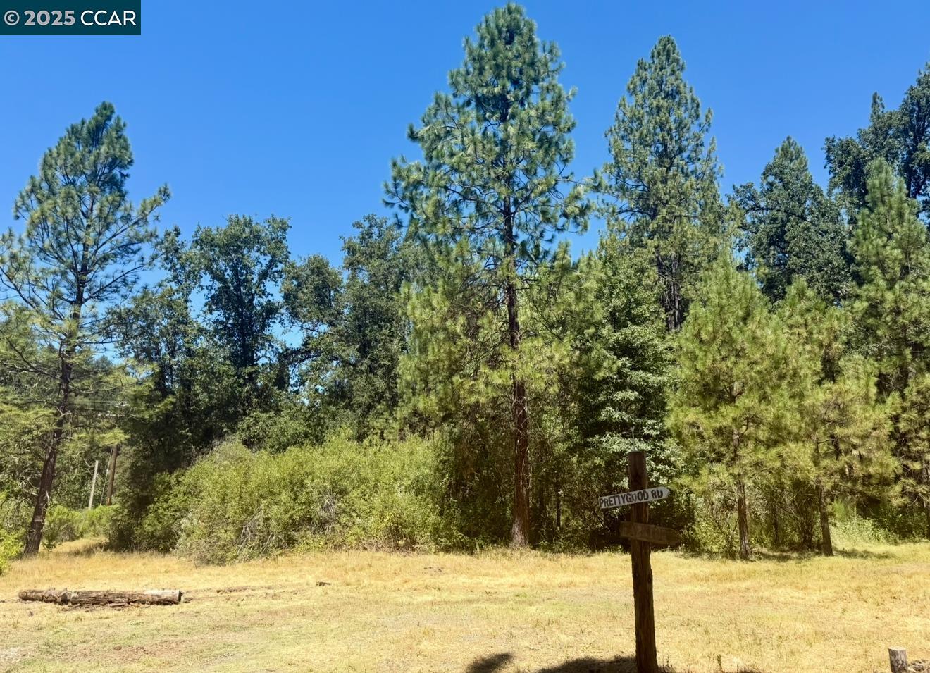 4578 Pretty Good Road Placerville, CA 95667 - Photo 16 of 25 a view of lake view