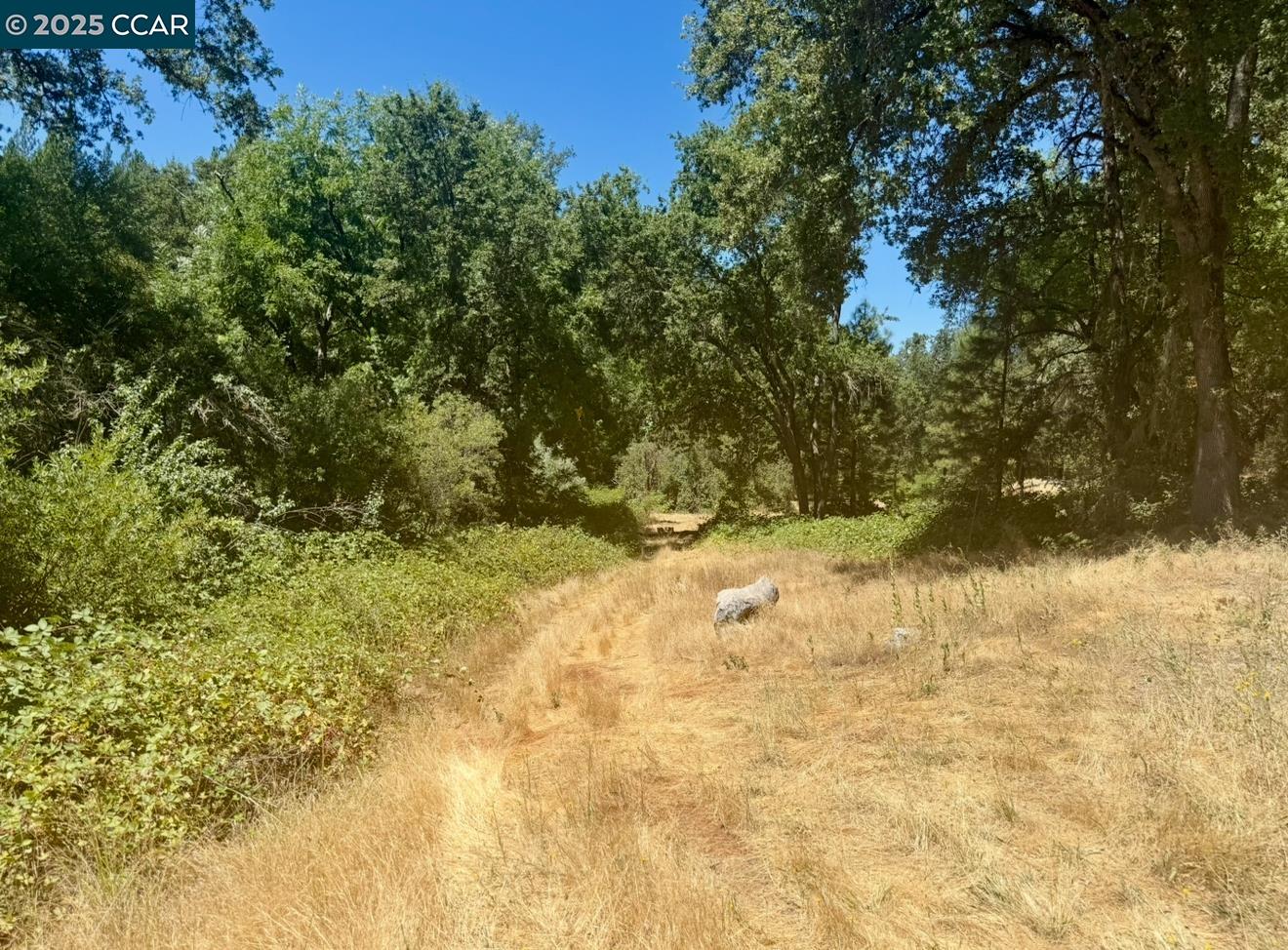 4578 Pretty Good Road Placerville, CA 95667 - Photo 17 of 25 a view of yard covered with snow in the background