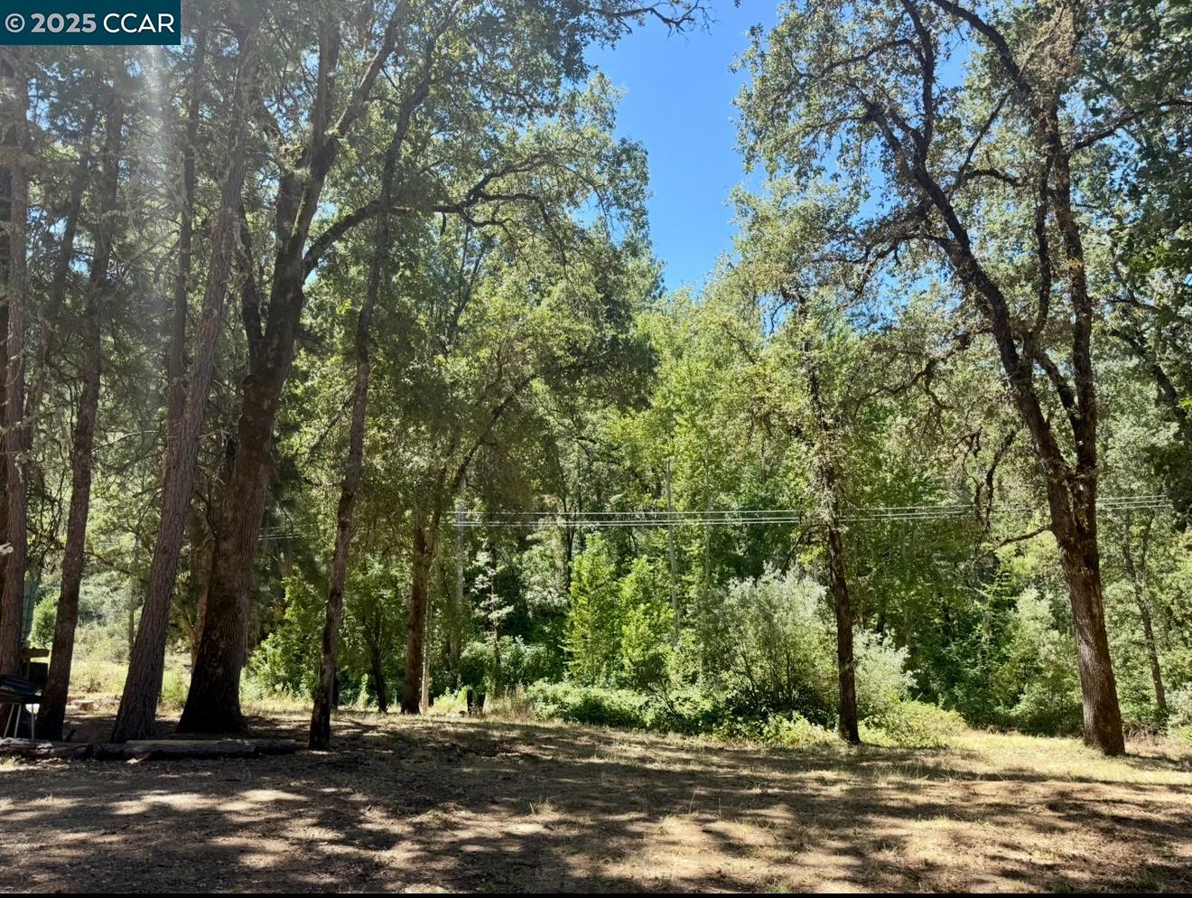 4578 Pretty Good Road Placerville, CA 95667 - Photo 18 of 25 a view of outdoor space with city view