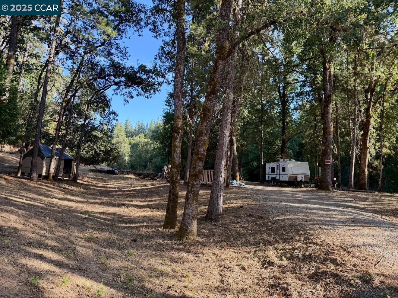 4578 Pretty Good Road Placerville, CA 95667 - Photo 19 of 25 a view of a house with backyard and trees