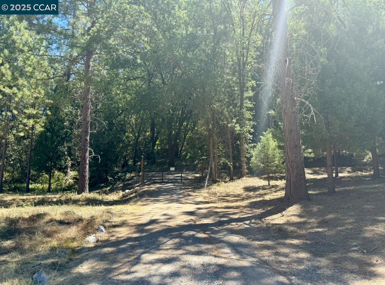 4578 Pretty Good Road Placerville, CA 95667 - Photo 20 of 25 a view of a yard with trees